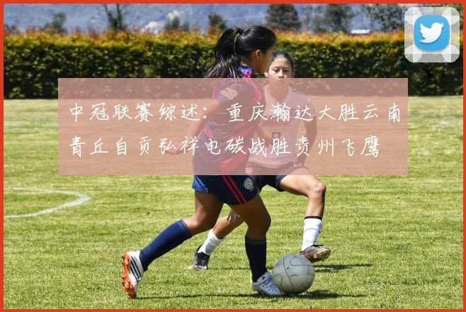 中冠联赛综述：重庆瀚达大胜云南青丘自贡弘祥电碳战胜贵州飞鹰