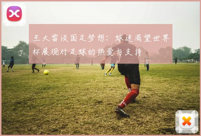王大雷谈国足梦想：球迷渴望世界杯展现对足球的热爱与支持