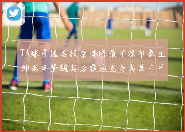 TA球员匿名投票揭晓最不深印象主帅老里紧随其后雷迪克与乌度卡平分秋色