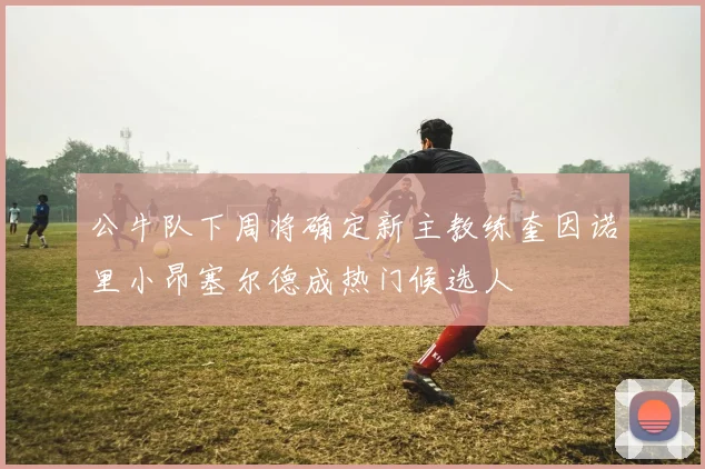 公牛队下周将确定新主教练奎因诺里小昂塞尔德成热门候选人